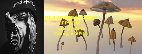 соль курить ск Пересвет