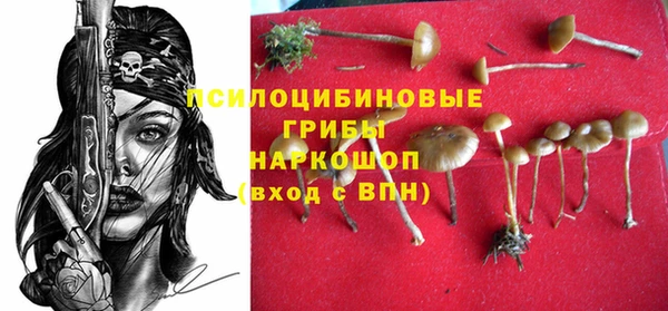 эйфоретик Переславль-Залесский