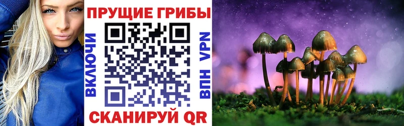Псилоцибиновые грибы GOLDEN TEACHER  Цимлянск 